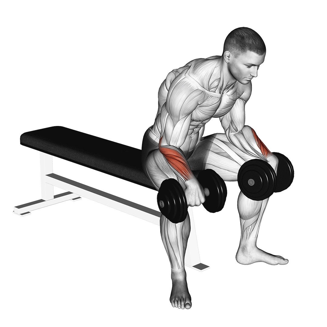 Dumbbell Reverse Wrist Curl demo