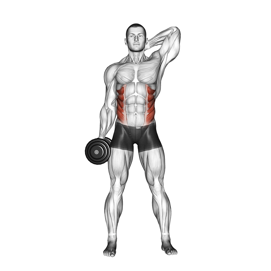 Dumbbell Side Bend demo