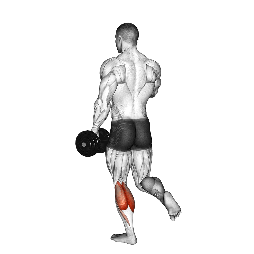 Dumbbell Single Leg Calf Raise demo