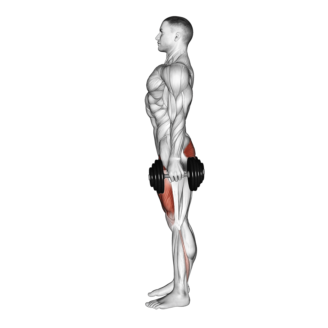 Dumbbell Squat demo