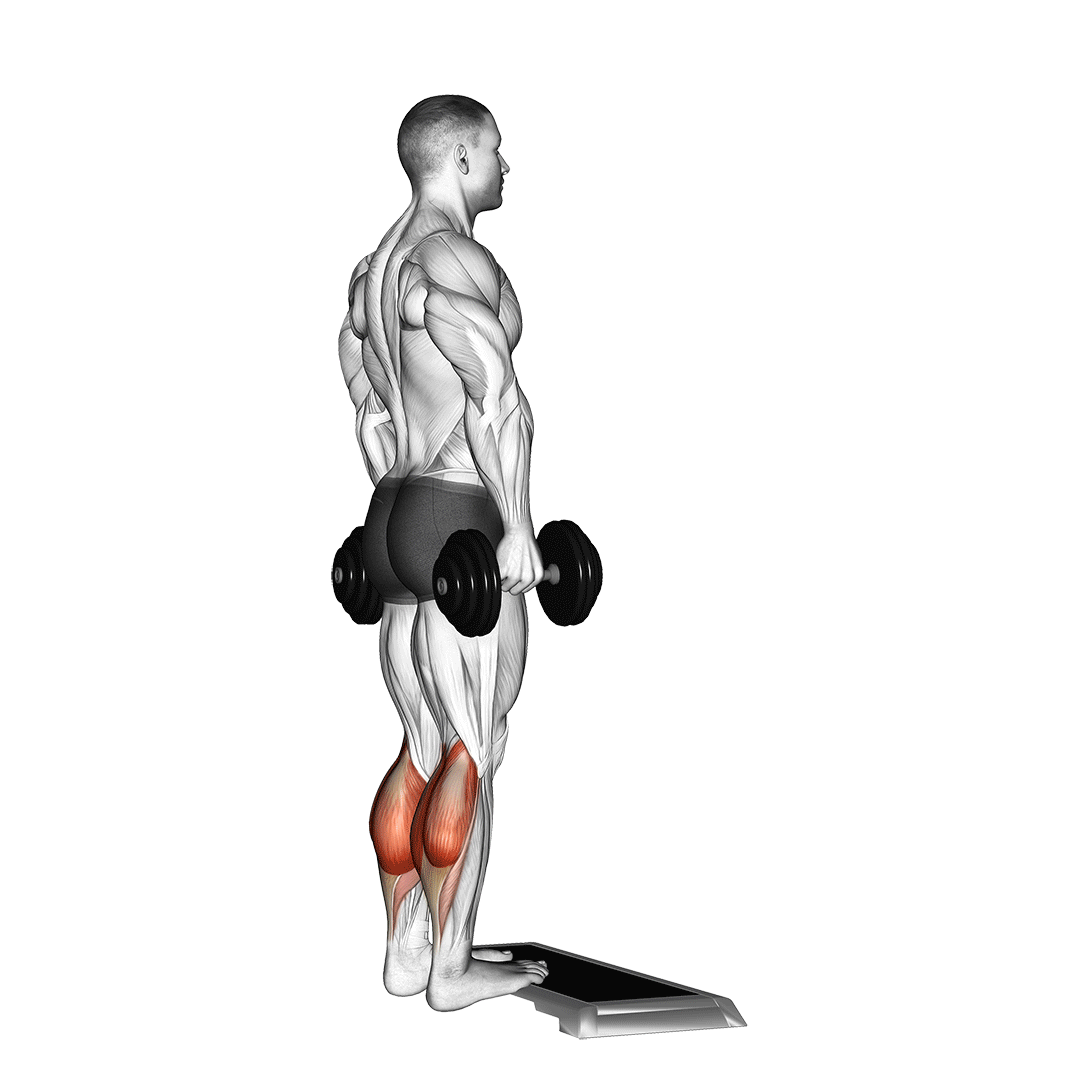 Dumbbell Standing Calf Raise demo