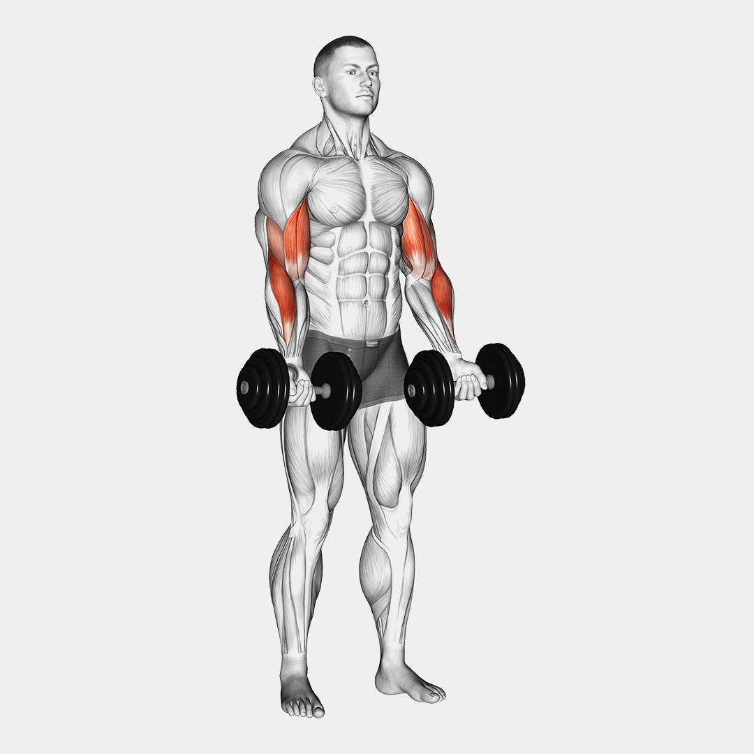 Dumbbell Zottman Curl demonstration