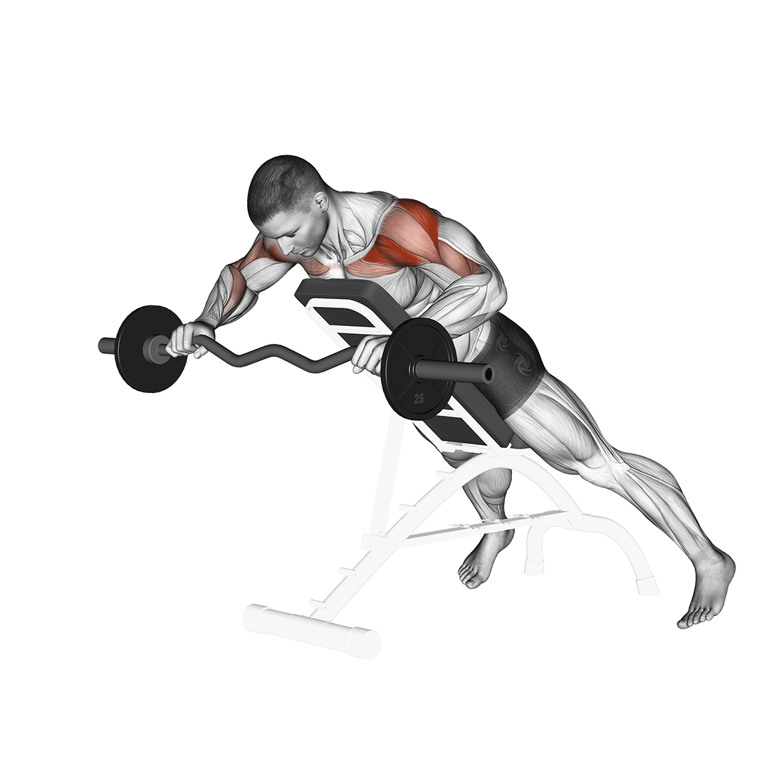 Ez Barbell Anti Gravity Press demo
