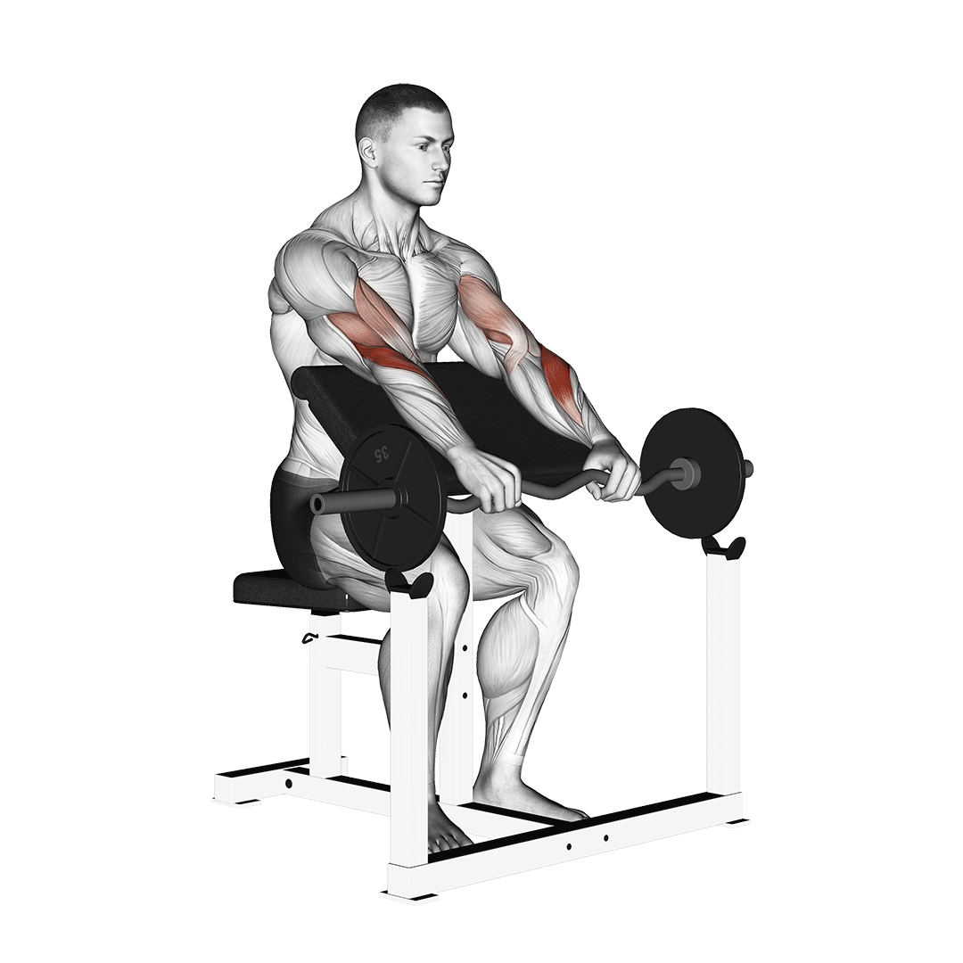 Ez Barbell Reverse Grip Preacher Curl demonstration