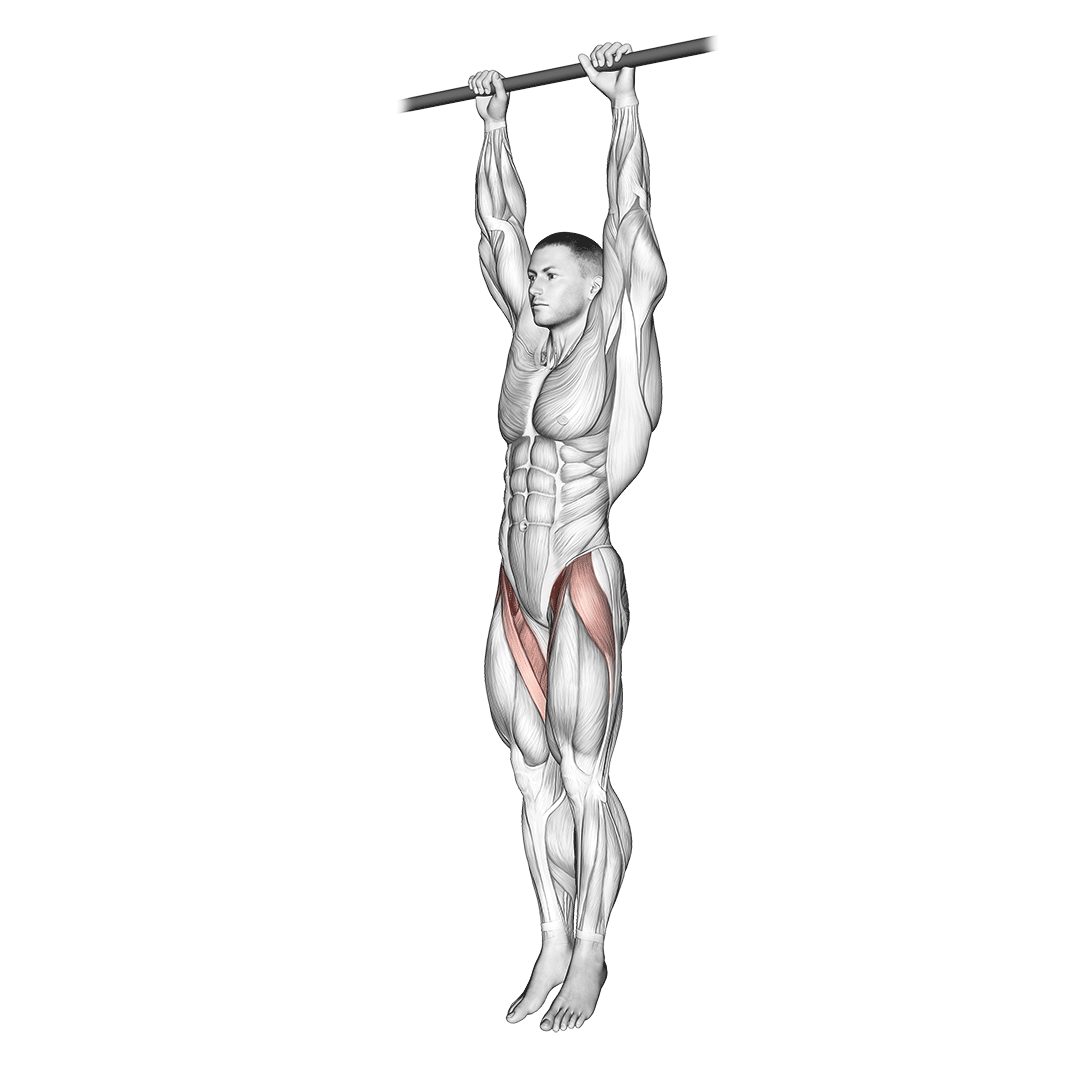 Hanging Leg Raise demo