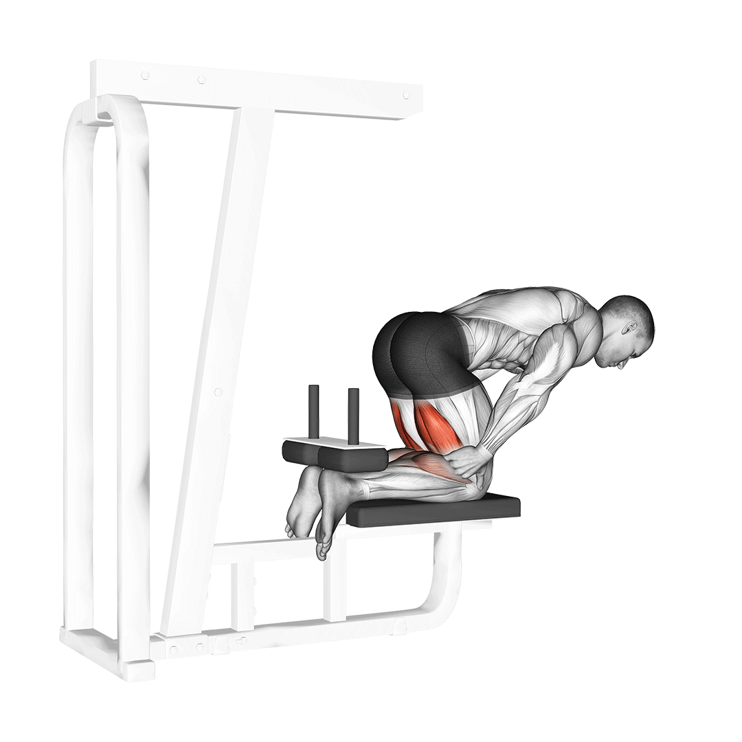Inverse Leg Curl (Bench Support) demo