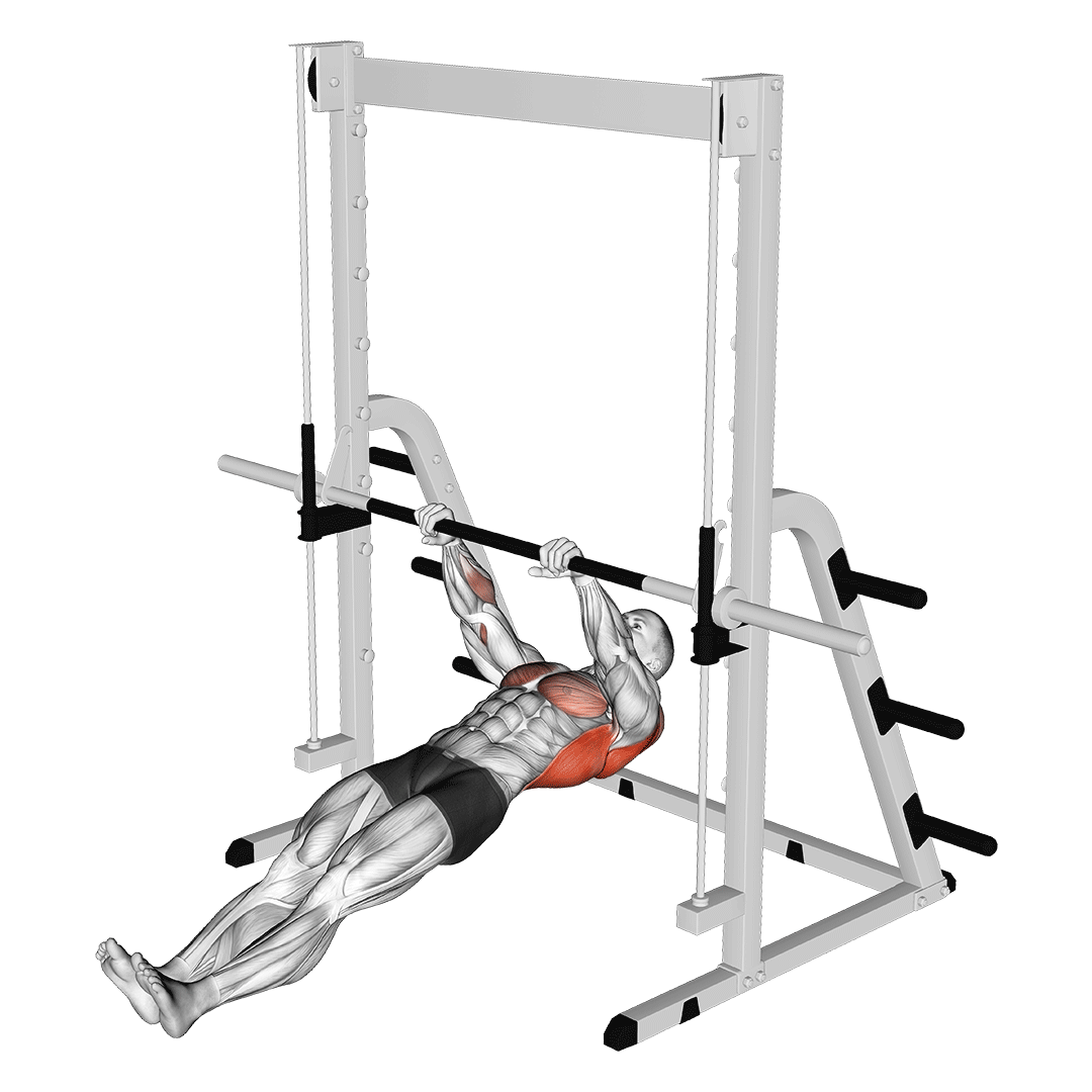 Inverted Row demonstration