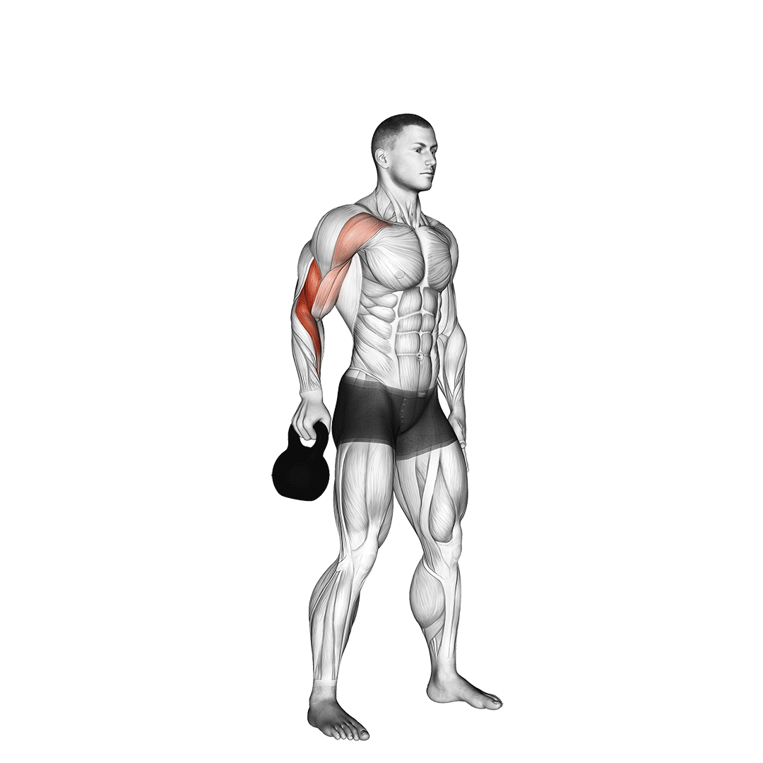 Kettlebell Bottoms Up Clean From The Hang Position demo