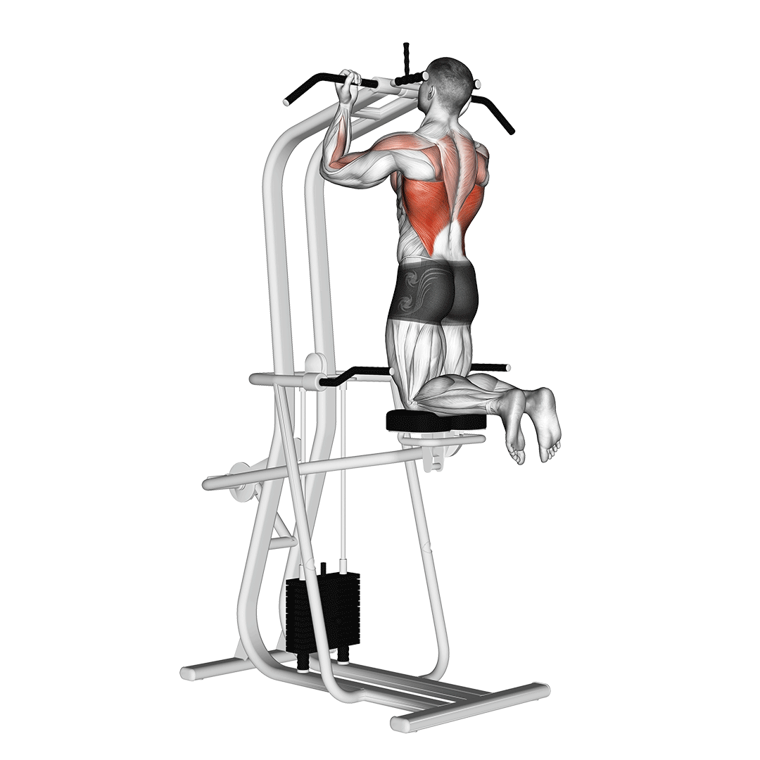 Lever Assisted Chin-Up demo