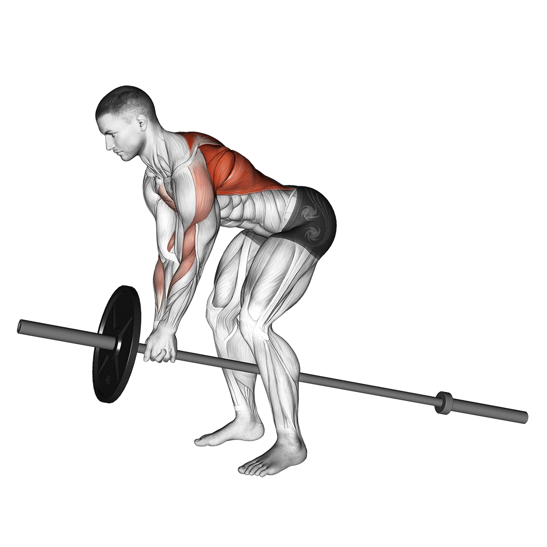Lever Bent Over Row demo