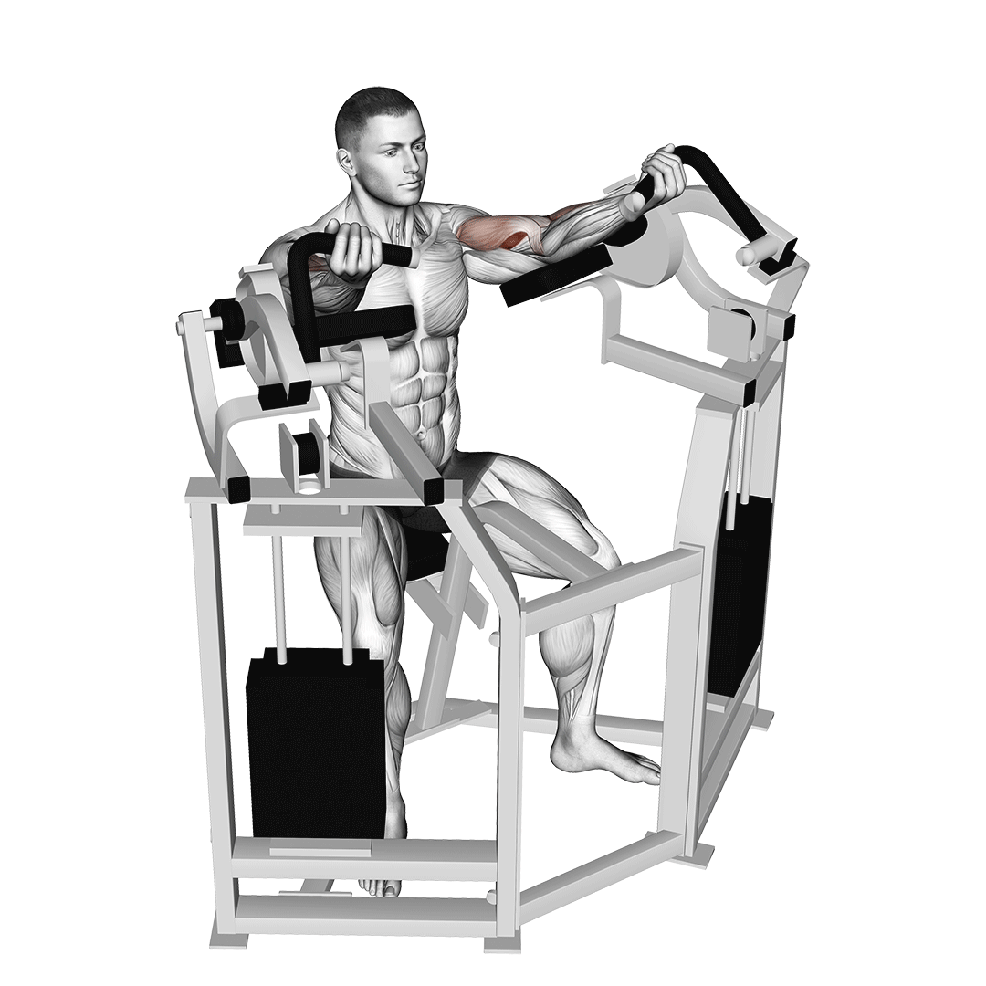 Lever Bicep Curl demo
