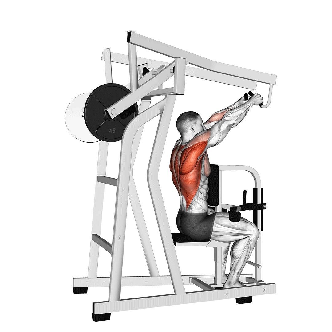 Lever High Row demo