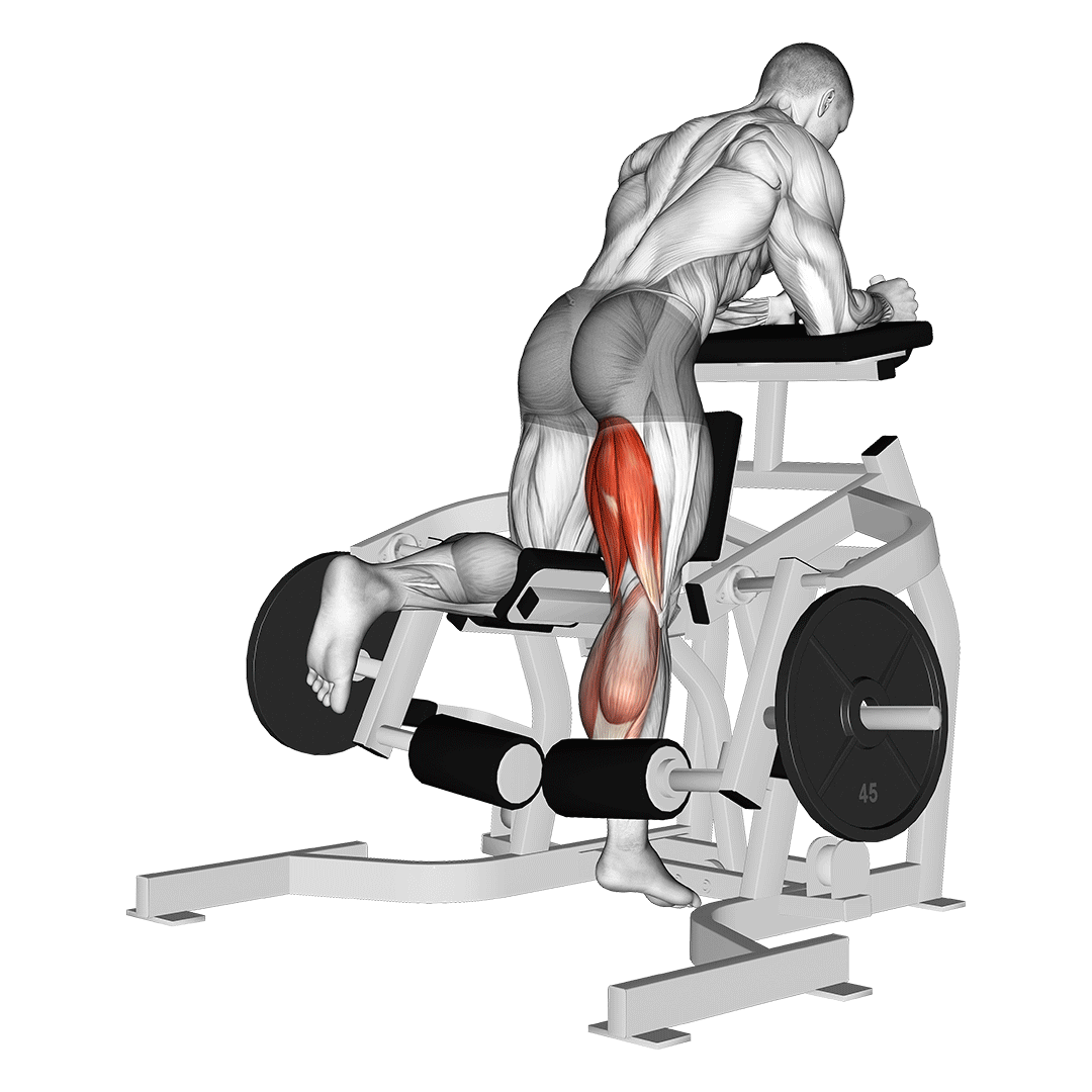 Lever Kneeling Leg Curl demo