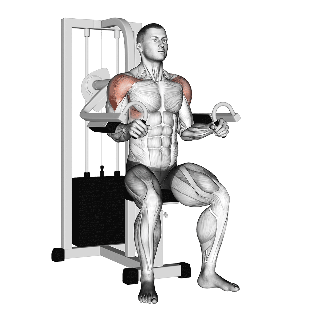 Lever Lateral Raise demo