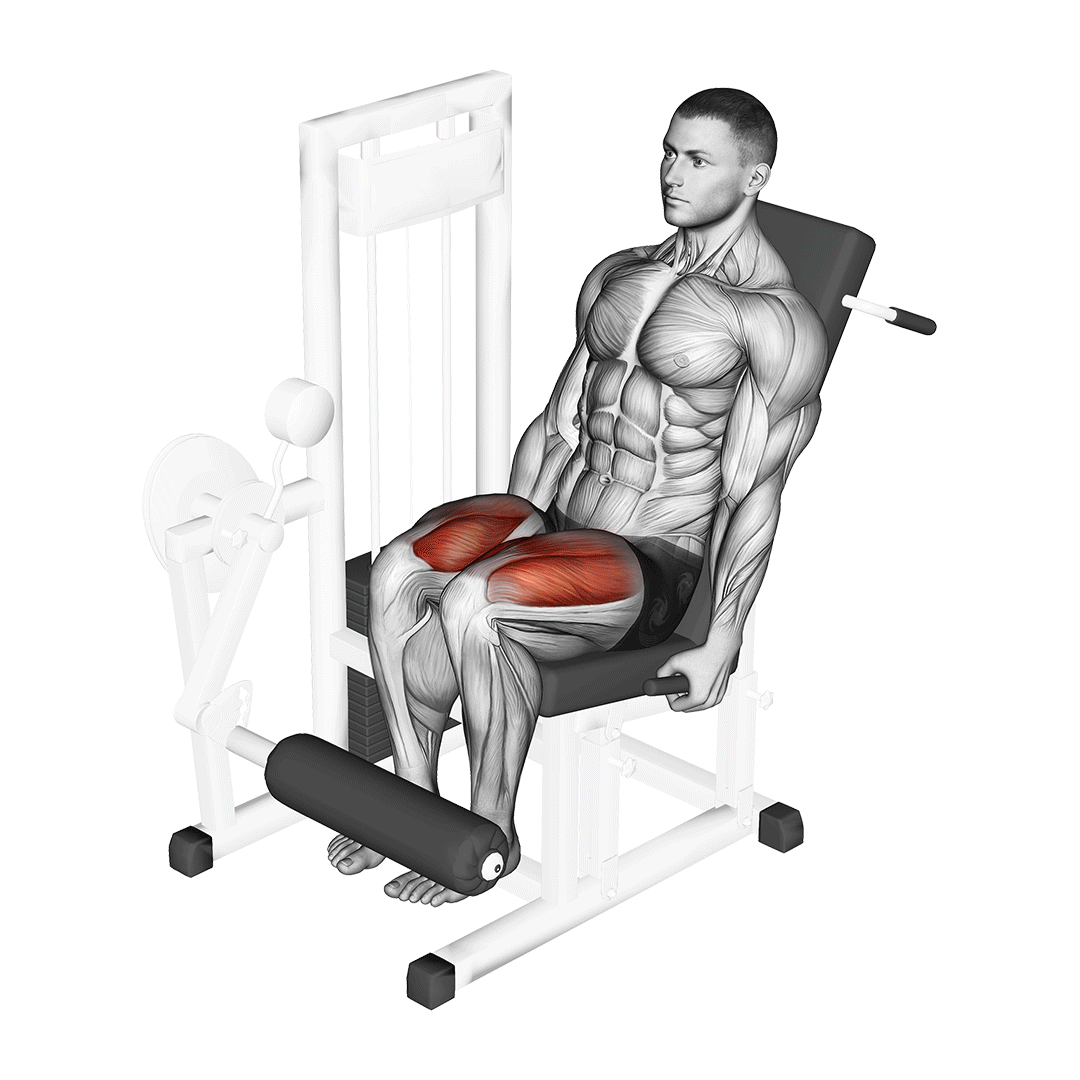 Lever Leg Extension demo
