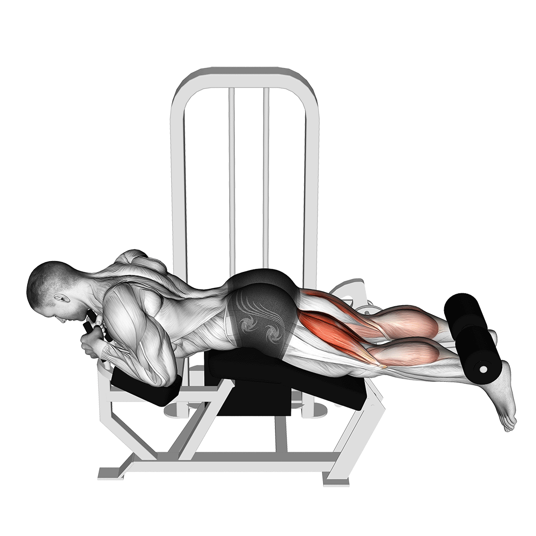 Lever Lying Leg Curl demo