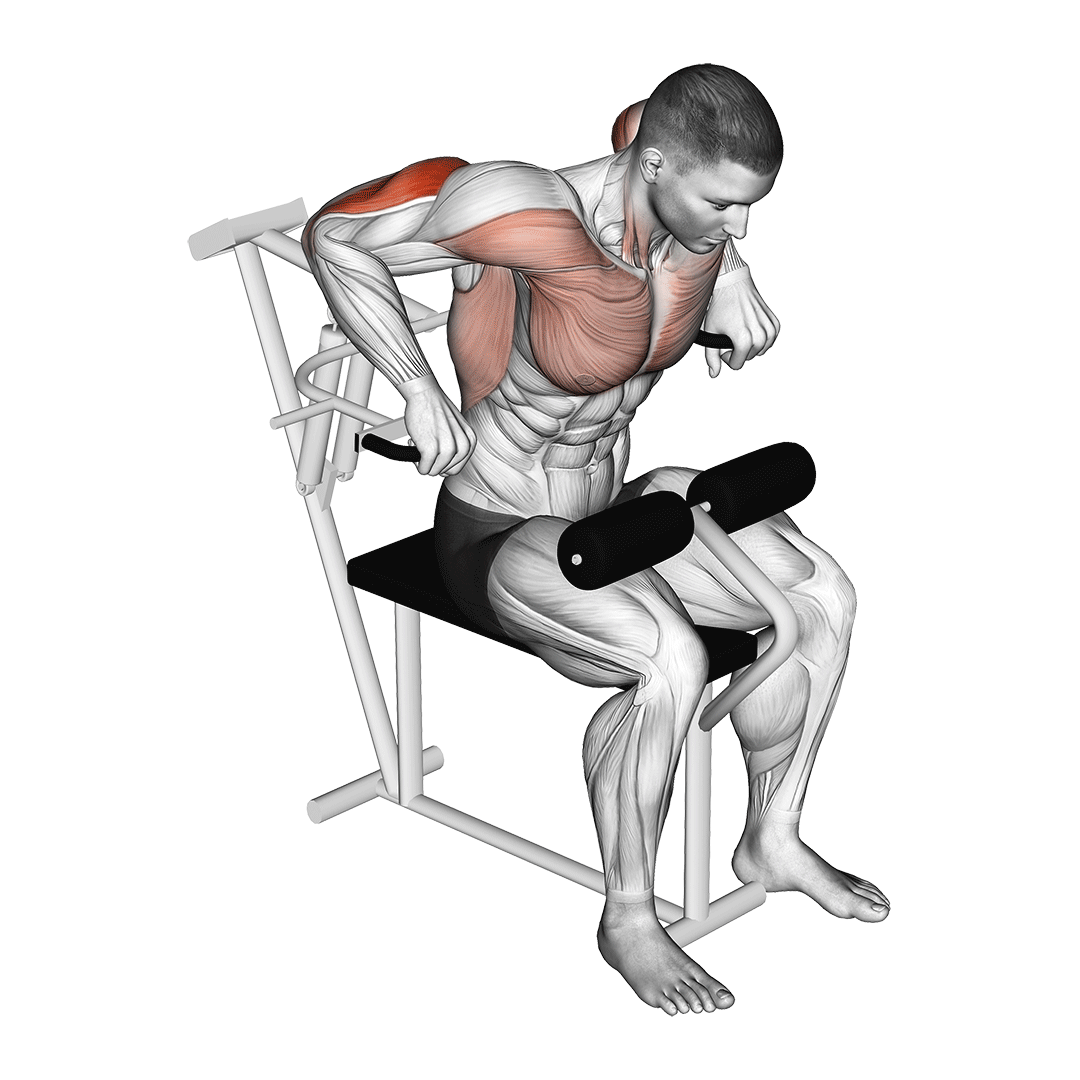 Lever Overhand Triceps Dip demo