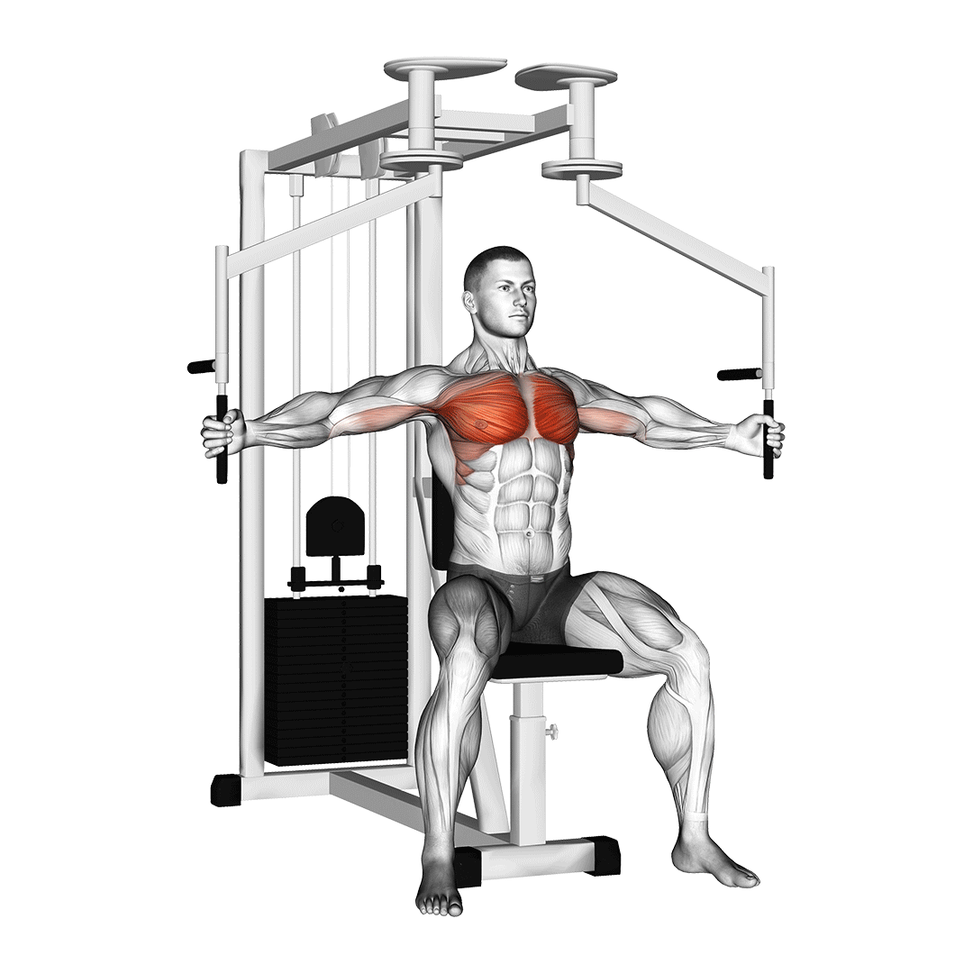 Lever Seated Fly demonstration