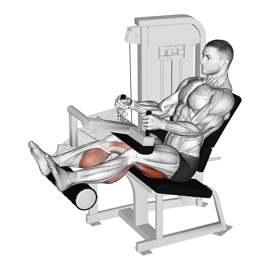 Lever Seated Leg Curl demo