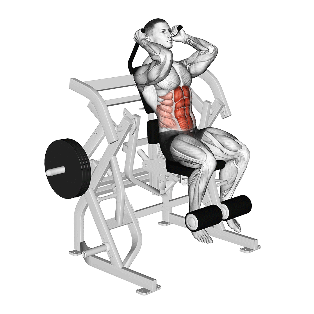Lever Seated Leg Raise Crunch demo