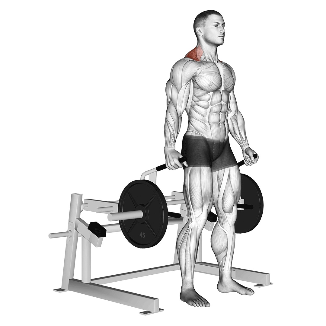Lever Shrug demonstration