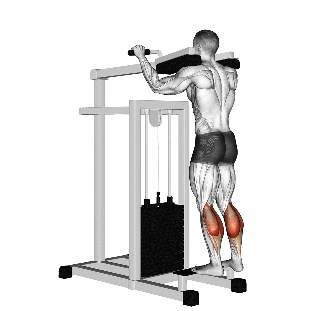 Lever Standing Calf Raise demo