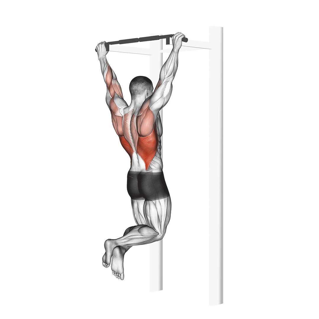 Pull-Up demo