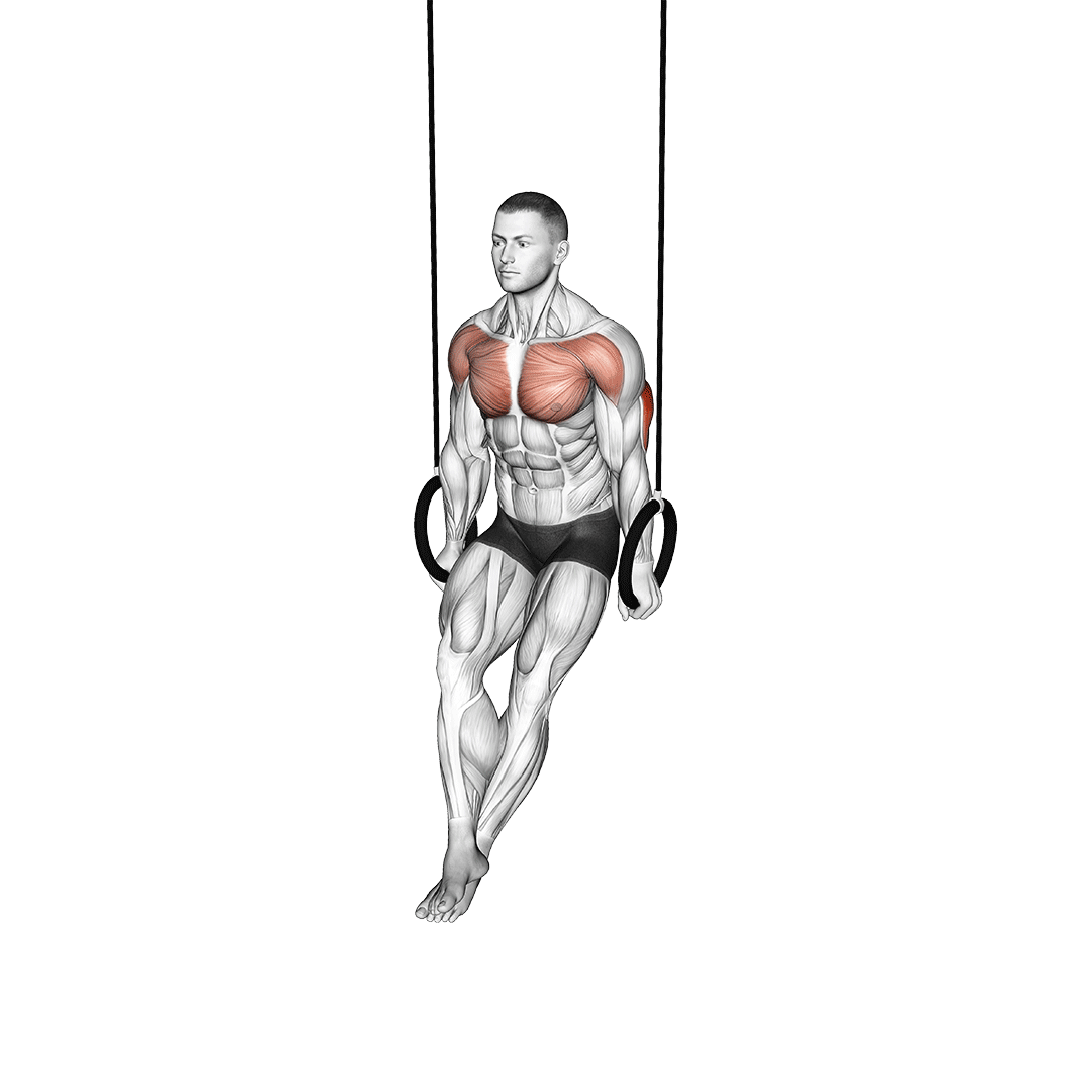 Ring Dips demo