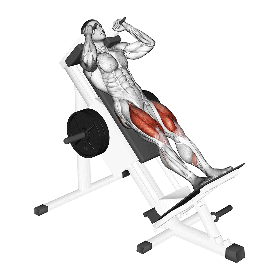 Sled Hack Squat demo