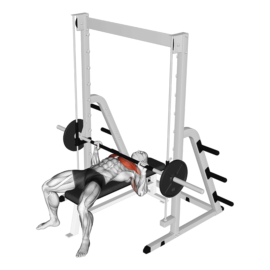 Smith Bench Press demo