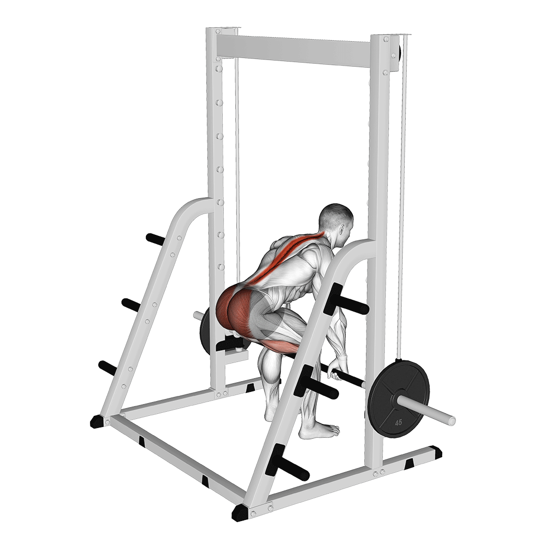 Smith Deadlift demo