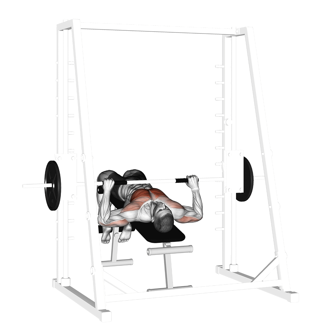 Smith Decline Bench Press demo