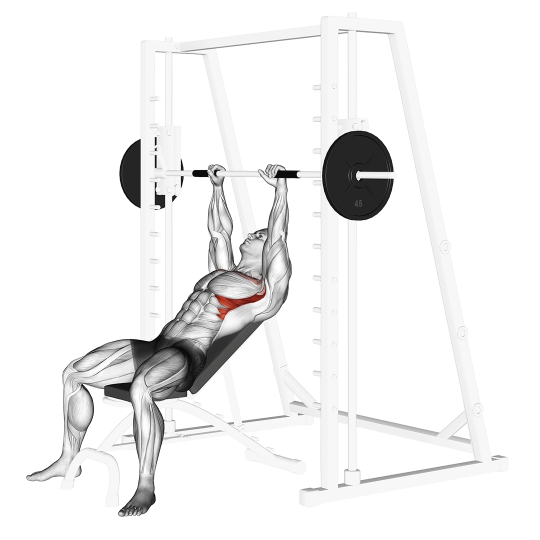 Smith Incline Shoulder Raises demo
