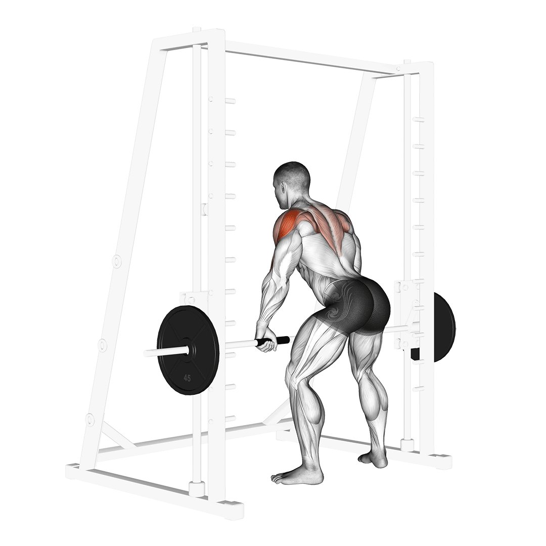 Smith Rear Delt Row demo