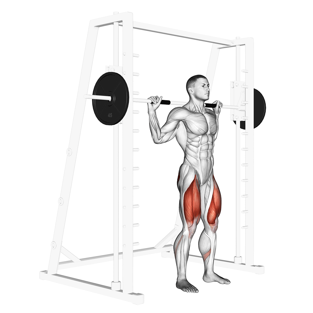 Smith Squat demo