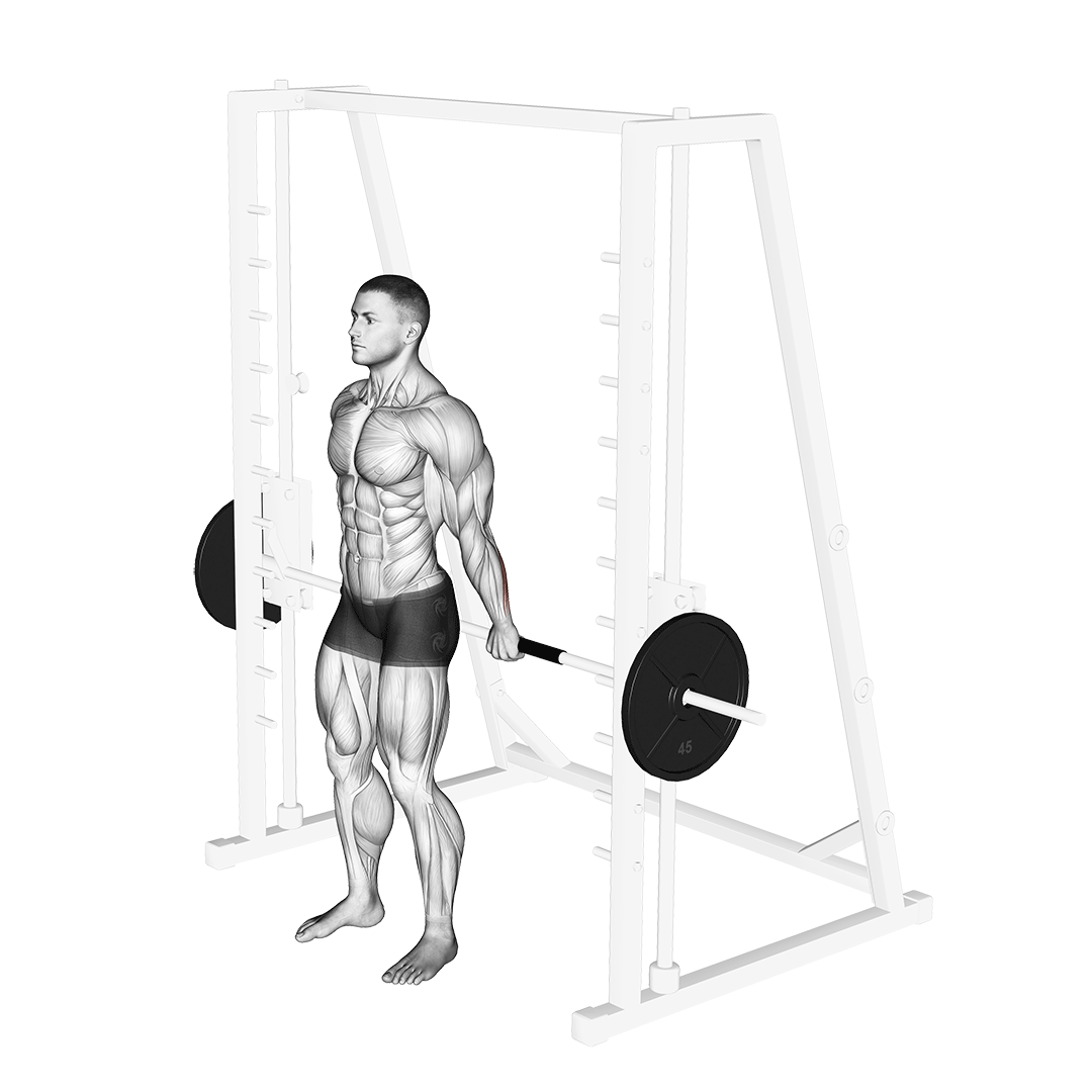Smith Standing Back Wrist Curl demo