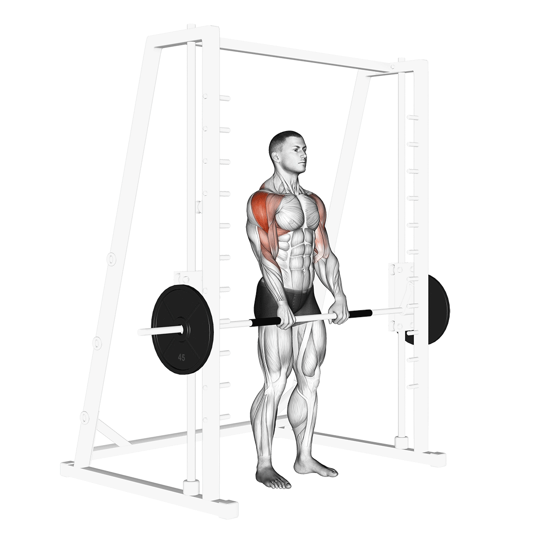 Smith Upright Row demo
