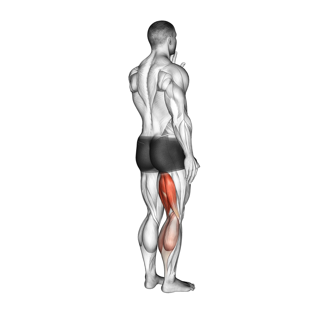 Standing Single Leg Curl demo