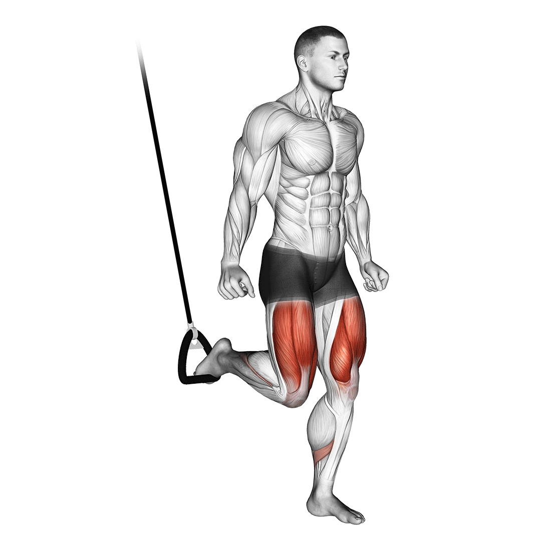 Suspended Split Squat demo