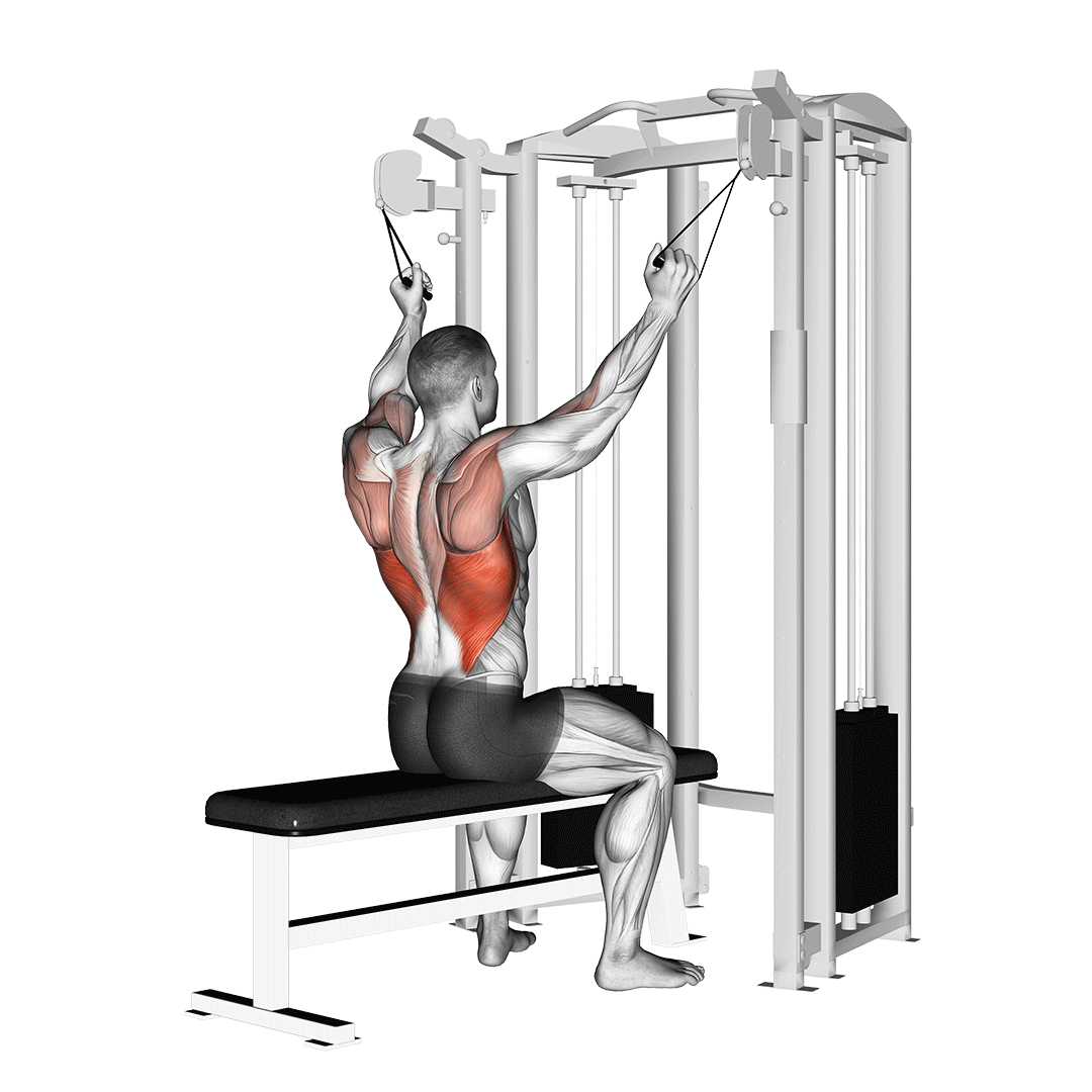 Twin Handle Parallel Grip Lat Pulldown demonstration