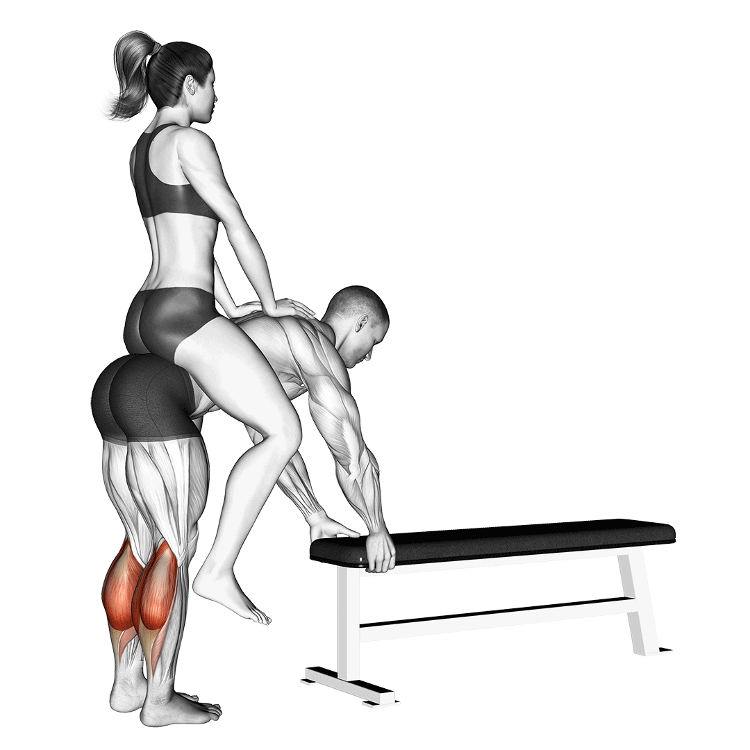 Weighted Donkey Calf Raise demo