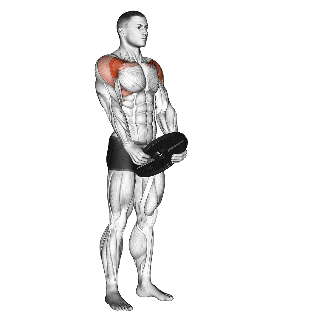 Weighted Front Raise demo