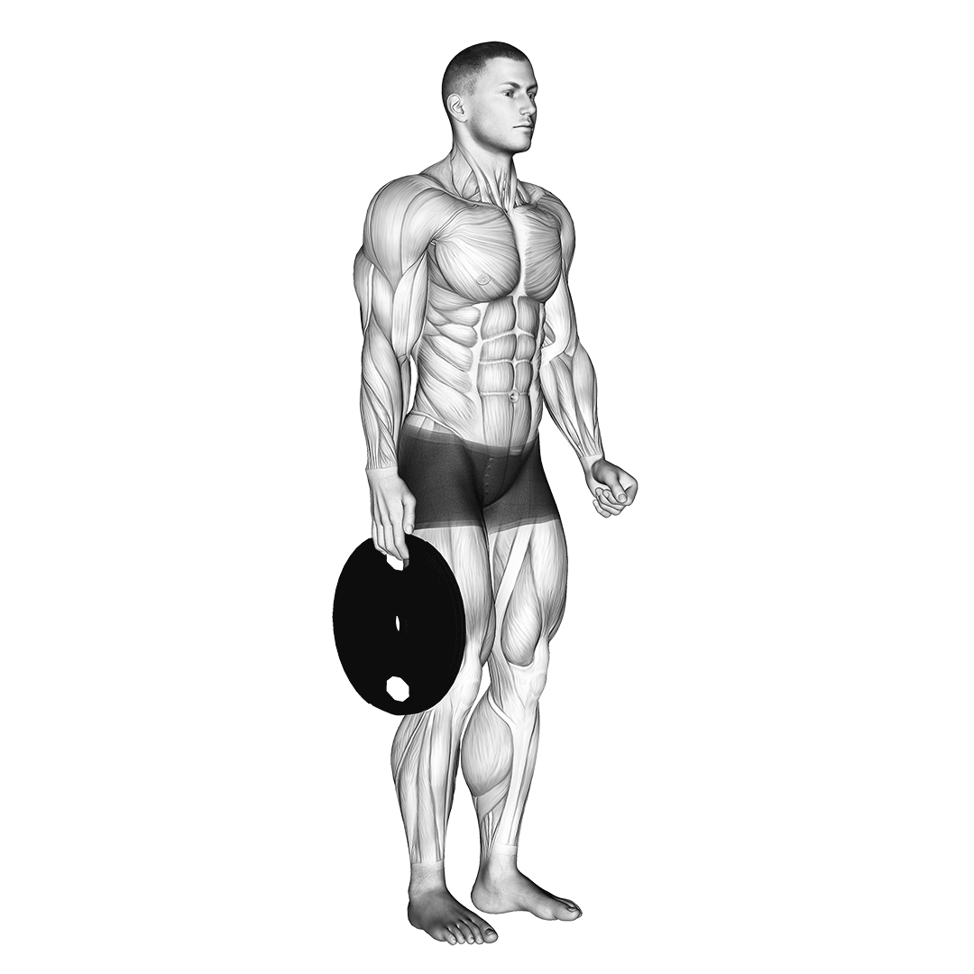 Weighted Standing Hand Squeeze demo