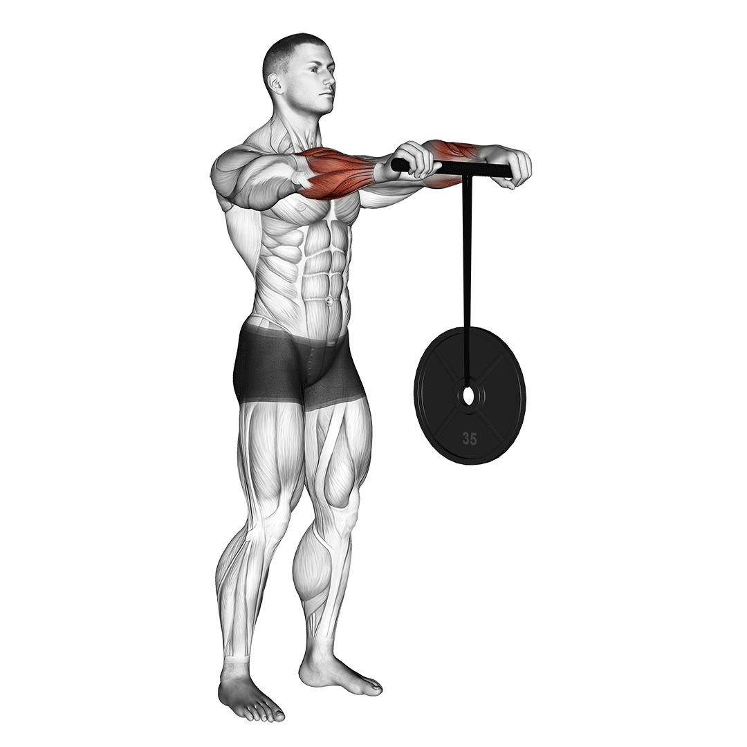 Wrist Rollerer demo