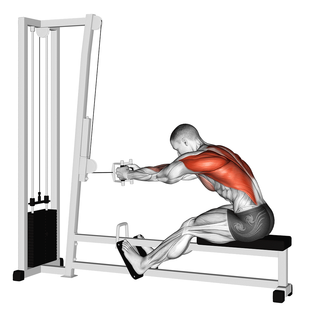 Cable Seated Row demo