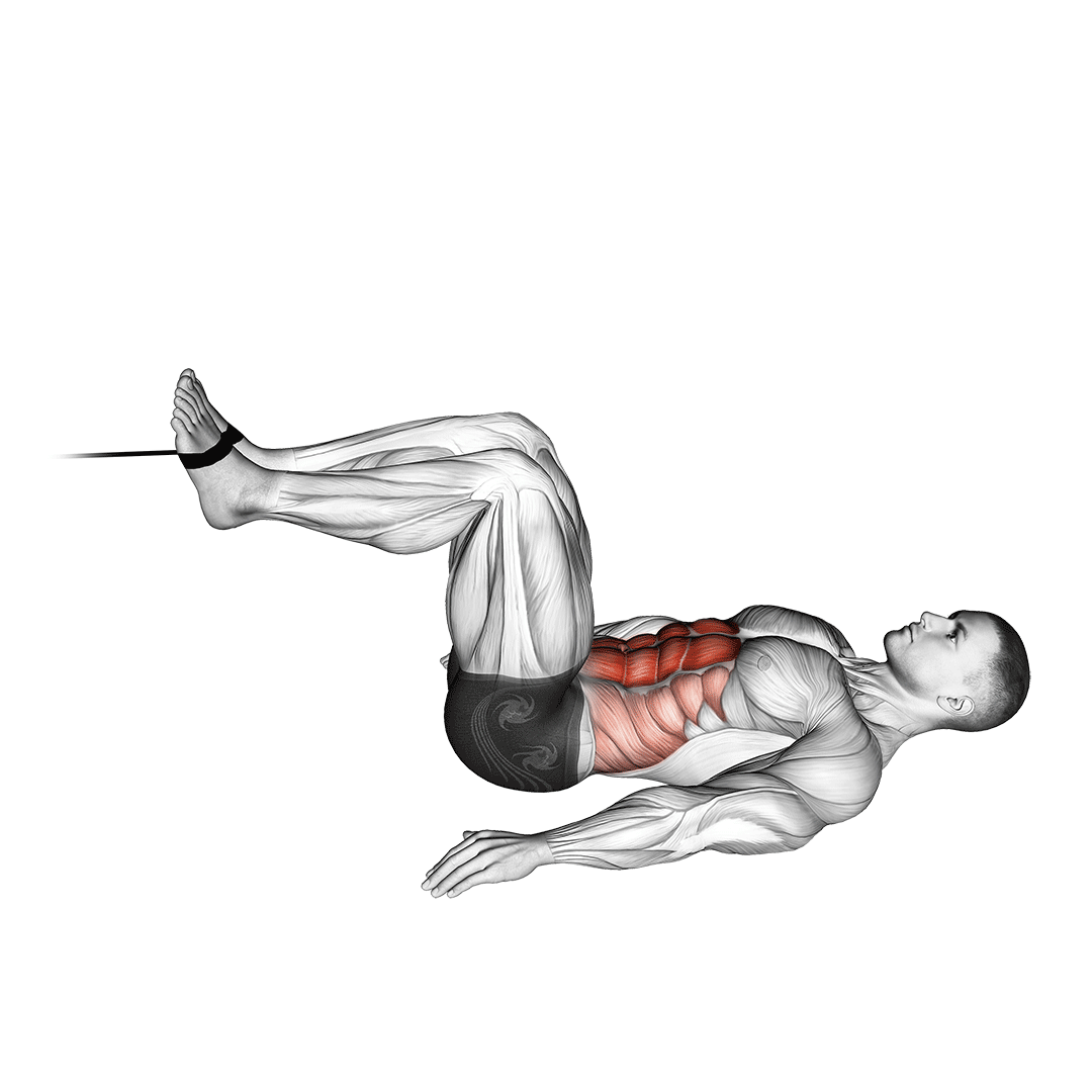 Cable Reverse Crunch demo