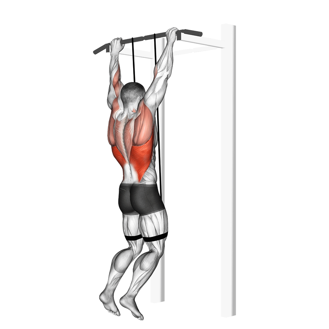 Band Assisted Pull-Up demo