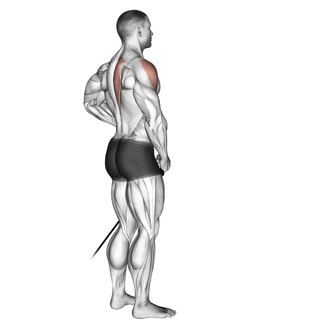Band Front Lateral Raise demo