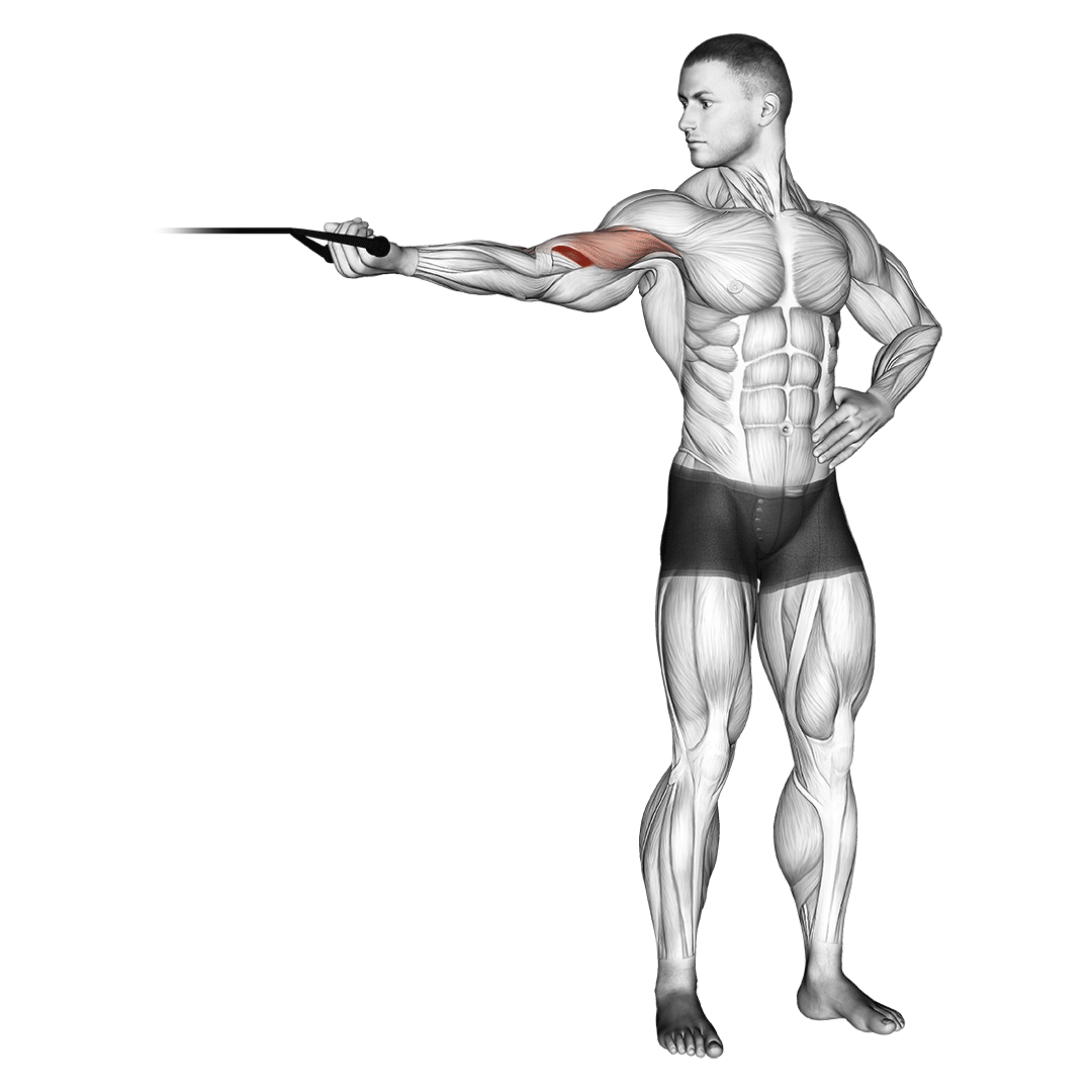 Band One Arm Overhead Biceps Curl demo