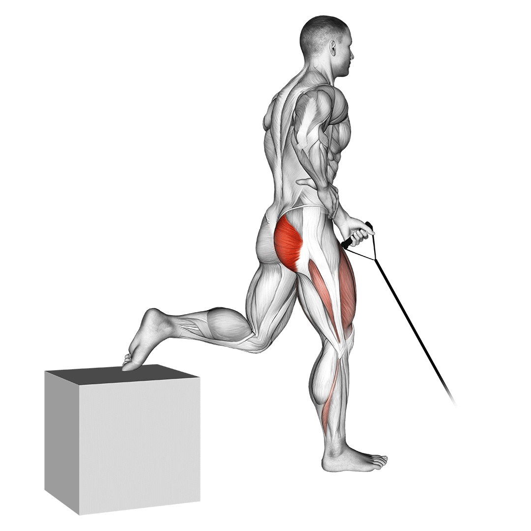 Band One Arm Single Leg Split Squat demo